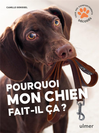 Pourquoi mon chien fait-il ça ?