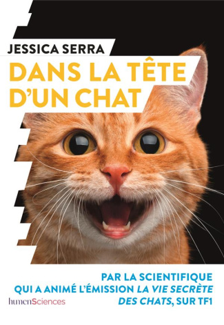 Dans la tête d'un chat