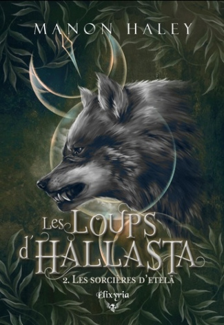 Les loups d'Hallasta Tome 2 : Les sorcières d'Etelä