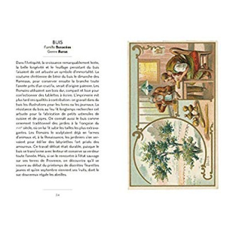 Le petit livre des arbres