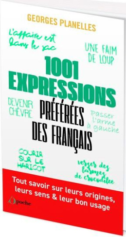 Les 1 001 expressions préférées des français
