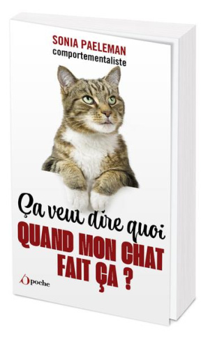 Ça veut dire quoi quand mon chat fait ça ? 35 questions que vous vous posez sur votre chat et ses co