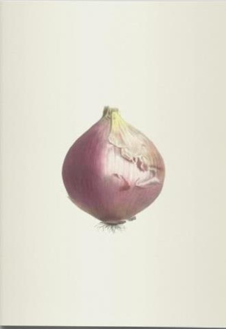 Plantes potagères. Cahier végétal