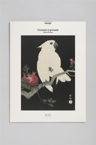 Cacatoès et grenade (1925-1936). Une illustration imprimée sur un papier de création avec 1 livet au