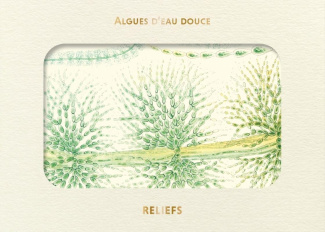 Algues d’eau douce