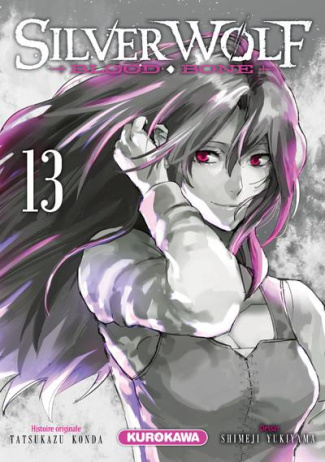 Silver Wolf Tome 13