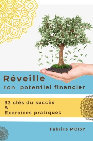 Réveille ton potentiel financier. 33 clés du succès & exercices pratiques