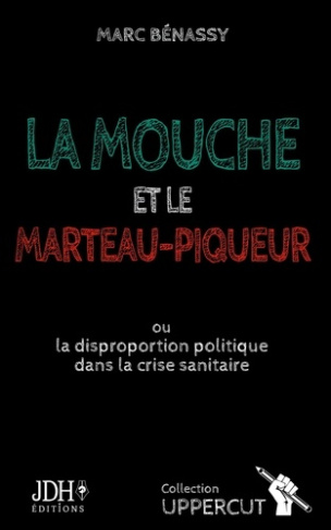 La mouche et le marteau-piqueur. Ou la disproportion politique dans la crise sanitaire