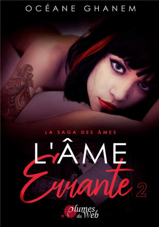 La saga des âmes : L'âme errante. Tome 2
