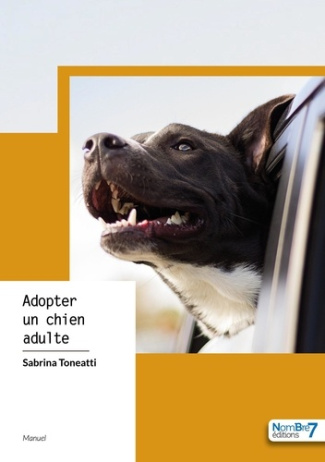 Adopter un chien adulte