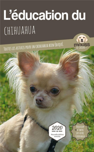 L'éducation du Chihuahua. Toutes les astuces pour un Chihuahua bien éduqué