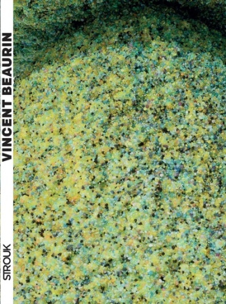 Incarnat Vincent Beaurin