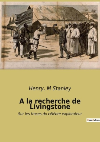 A la recherche de Livingstone. Sur les traces du célèbre explorateur