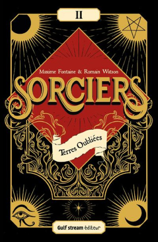 Sorciers Tome 2 : Terres oubliées