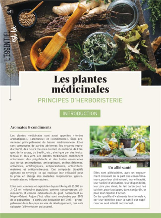 Les plantes aromatiques. Principes d'herboristerie