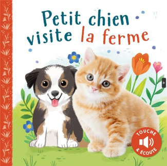 Petit chien visite la ferme