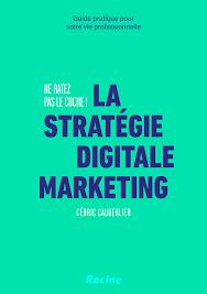 La stratégie digitale marketing - Ne ratez pas le coche !. Guide pratique pour votre vie professionn