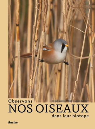 Observons nos oiseaux dans leur biotope