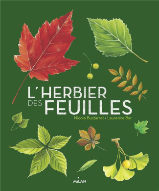 L'herbier des feuilles