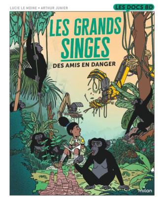Les grands singes. Des amis en danger