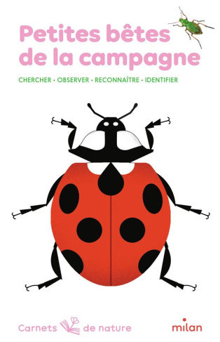 Petites bêtes de la campagne. Chercher, observer, reconnaître, identifier