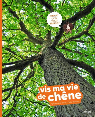Vis ma vie de chêne