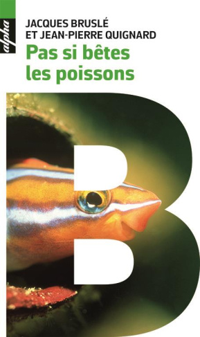 Pas si bêtes les poissons. Scènes de leur vie intime