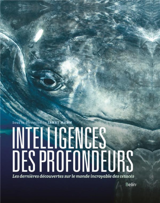 Intelligences des profondeurs. Dans la tête des baleines, dauphins et marsouins