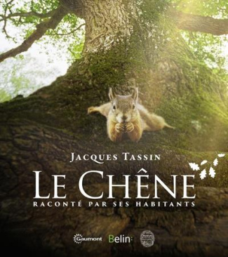 Le chêne