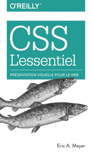 CSS l'essentiel. Présentation visuelle pour le web