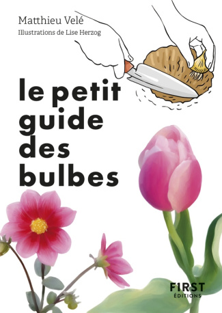 Le petit guide jardin des bulbes