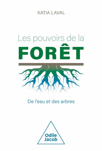 Les pouvoirs de la forêt. De l'eau et des arbres