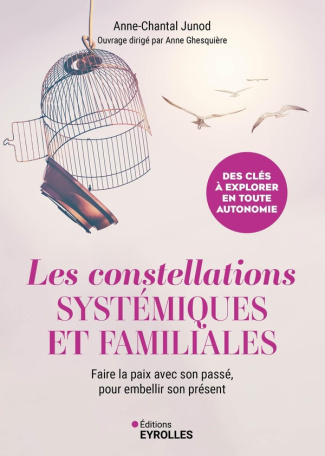 Les constellations systémiques et familiales. Faire la paix avec son passé pour embellir son présent
