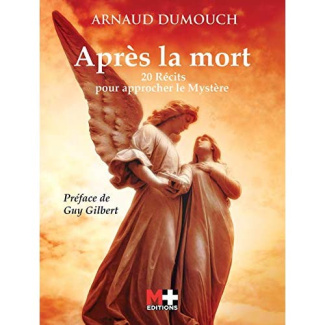 Après la mort. 20 récits pour approcher le mystère
