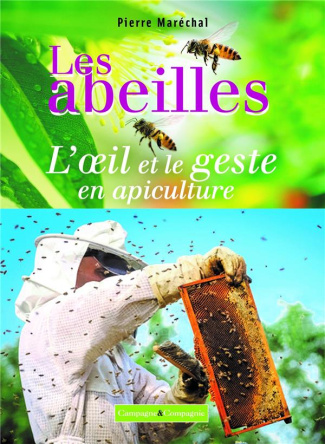 Les abeilles. L'oeil et le geste en apiculture