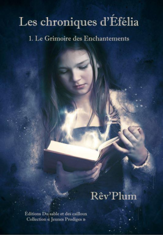 Les Chroniques d'Efélia Tome 1 : Le grimoire des enchantements