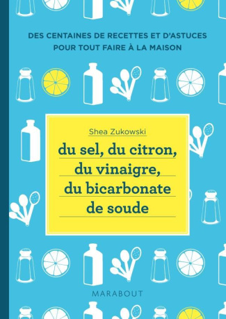 Du sel, du citron, du vinaigre, du bicarbonate de soude / 250 recettes naturelles pour la maison
