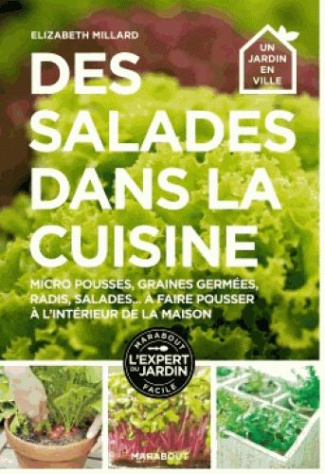 Des salades dans la cuisine