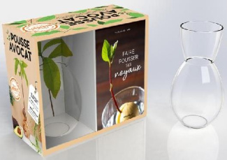 Coffret Le pousse avocat. Faire pousser ses noyaux. Avec 1 vase