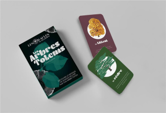 Les arbres totems. Découvre le message de sagesse délivré par ton arbre totem