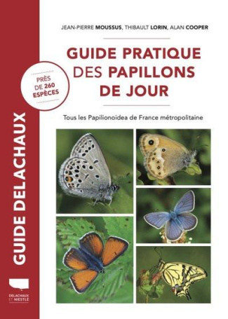 Guide pratique des papillons de jour. Tous les Papilionoidea de France métropolitaine