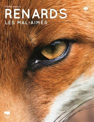 Renards. Les mal-aimés