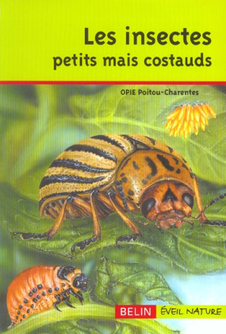 Les insectes petits mais costauds