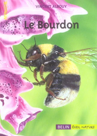 Les bourdons