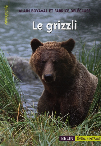 Le grizzli
