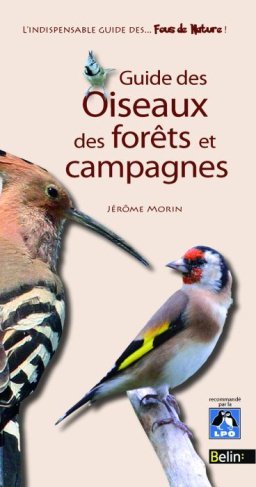 Guide des oiseaux des forêts et campagnes