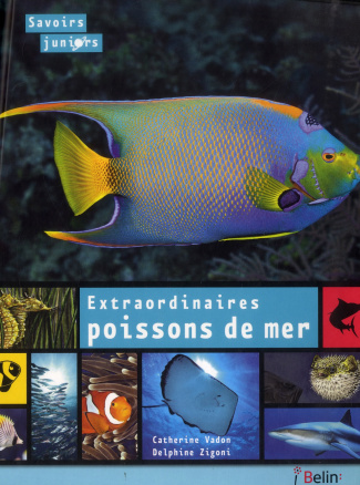 Extraordinaires poissons de mer
