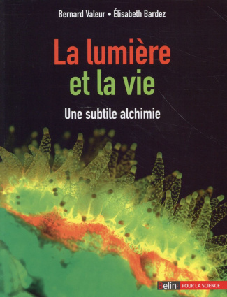 La lumière et la vie. Une subtile alchimie