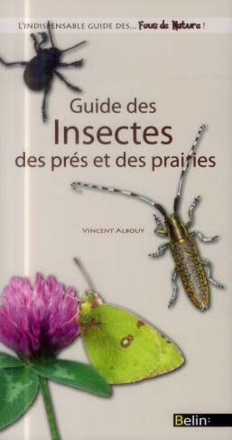 Guide des insectes des prés et des prairies