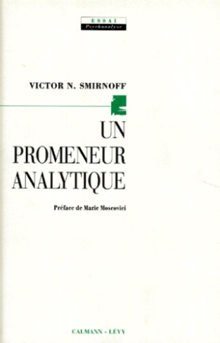 Un promeneur analytique